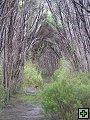 thn_steward island 014.jpg